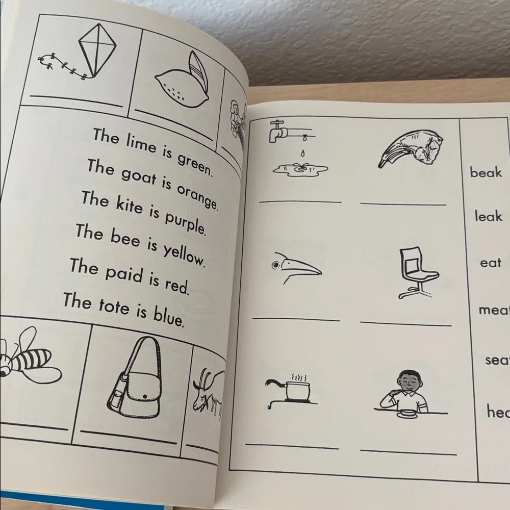 Primary Phonics Workbook 2  + Additional Practice - homeschool